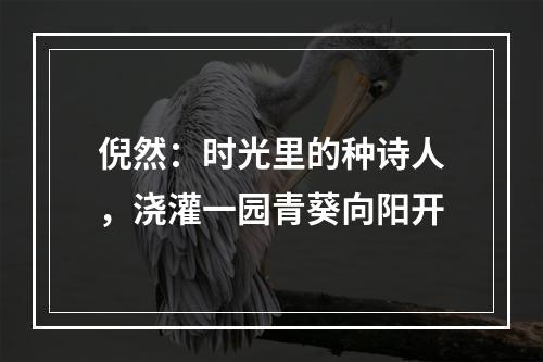 倪然：时光里的种诗人，浇灌一园青葵向阳开