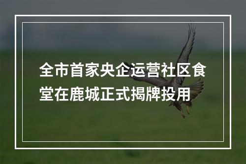 全市首家央企运营社区食堂在鹿城正式揭牌投用