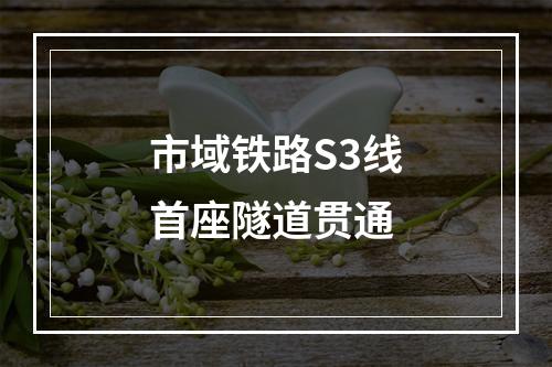 市域铁路S3线首座隧道贯通