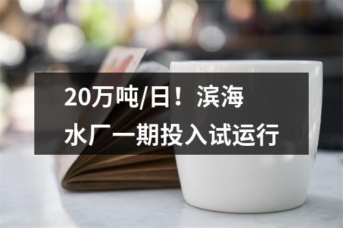 20万吨/日！滨海水厂一期投入试运行