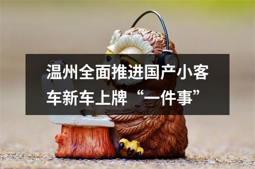 温州全面推进国产小客车新车上牌“一件事”
