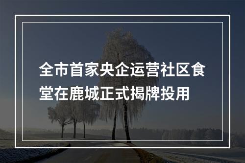全市首家央企运营社区食堂在鹿城正式揭牌投用