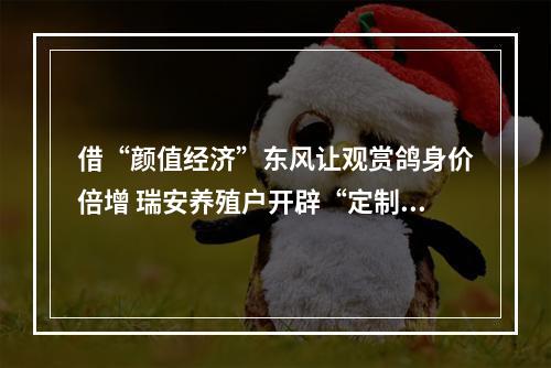 借“颜值经济”东风让观赏鸽身价倍增 瑞安养殖户开辟“定制宠物鸽”新赛道
