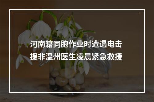 河南籍同胞作业时遭遇电击 援非温州医生凌晨紧急救援