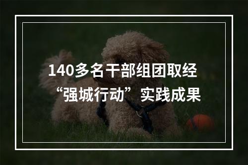 140多名干部组团取经“强城行动”实践成果