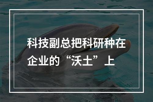科技副总把科研种在企业的“沃土”上