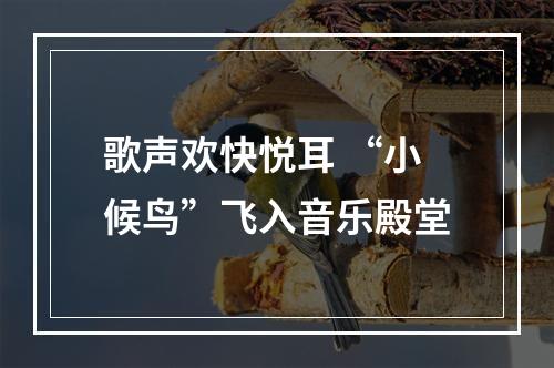 歌声欢快悦耳 “小候鸟”飞入音乐殿堂