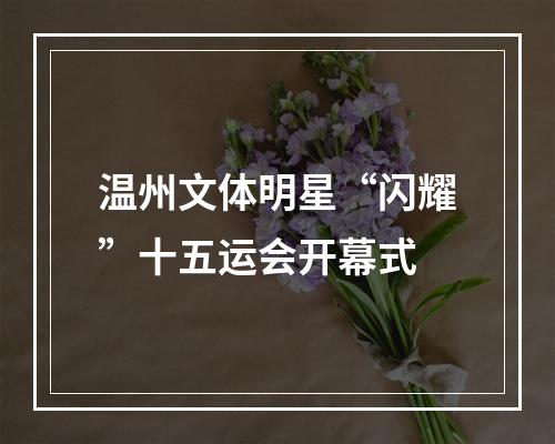 温州文体明星“闪耀”十五运会开幕式