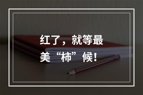 红了，就等最美“柿”候！