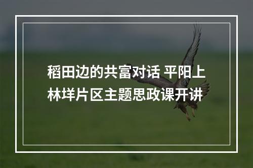 稻田边的共富对话 平阳上林垟片区主题思政课开讲