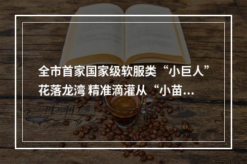 全市首家国家级软服类“小巨人”花落龙湾 精准滴灌从“小苗”起呵护