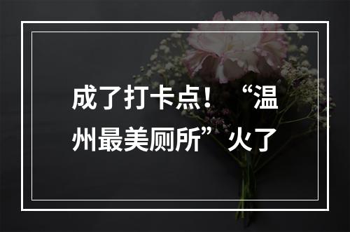 成了打卡点！“温州最美厕所”火了