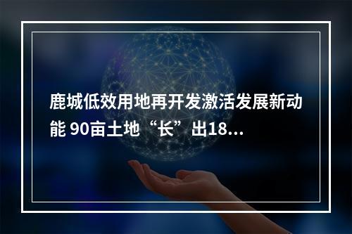 鹿城低效用地再开发激活发展新动能 90亩土地“长”出18亿元年产值