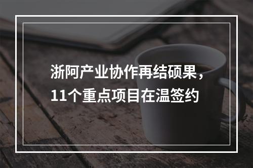 浙阿产业协作再结硕果，11个重点项目在温签约