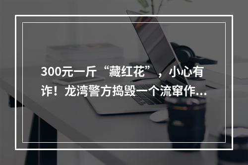 300元一斤“藏红花”，小心有诈！龙湾警方捣毁一个流窜作案的“藏红花”诈骗团伙