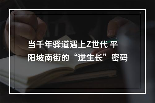 当千年驿道遇上Z世代 平阳坡南街的“逆生长”密码