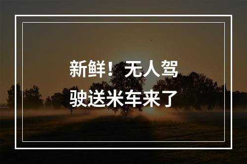 新鲜！无人驾驶送米车来了