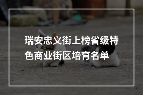 瑞安忠义街上榜省级特色商业街区培育名单