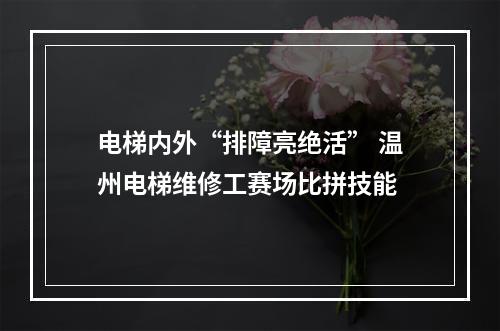 电梯内外“排障亮绝活” 温州电梯维修工赛场比拼技能