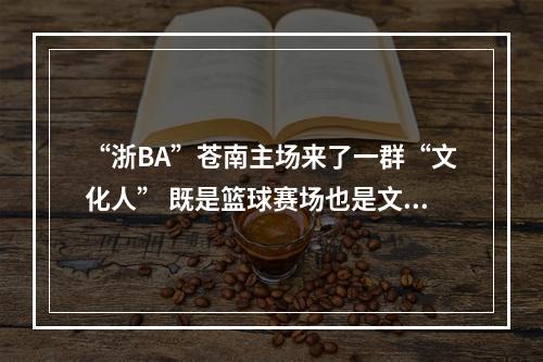 “浙BA”苍南主场来了一群“文化人” 既是篮球赛场也是文化秀场
