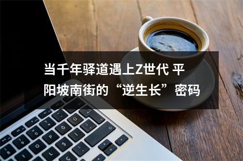 当千年驿道遇上Z世代 平阳坡南街的“逆生长”密码