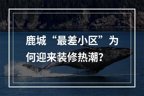 鹿城“最差小区”为何迎来装修热潮？