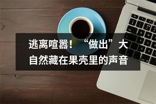 逃离喧嚣！“做出”大自然藏在果壳里的声音