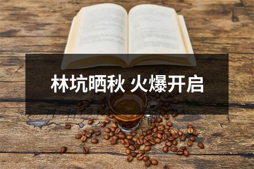 林坑晒秋 火爆开启