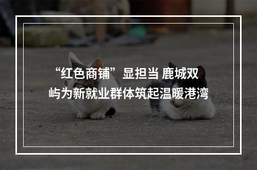 “红色商铺”显担当 鹿城双屿为新就业群体筑起温暖港湾