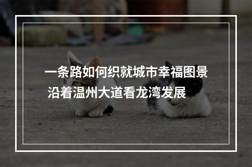 一条路如何织就城市幸福图景 沿着温州大道看龙湾发展