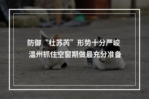 防御“杜苏芮”形势十分严峻  温州抓住空窗期做最充分准备