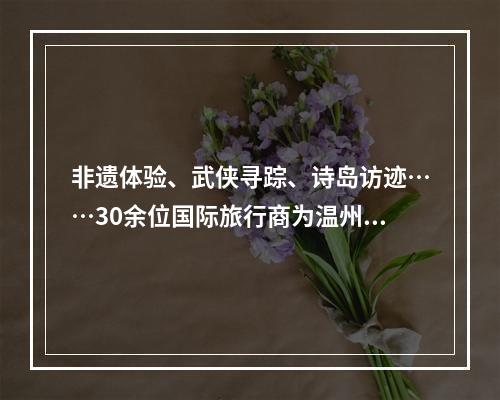 非遗体验、武侠寻踪、诗岛访迹……30余位国际旅行商为温州“海丝印记”打call