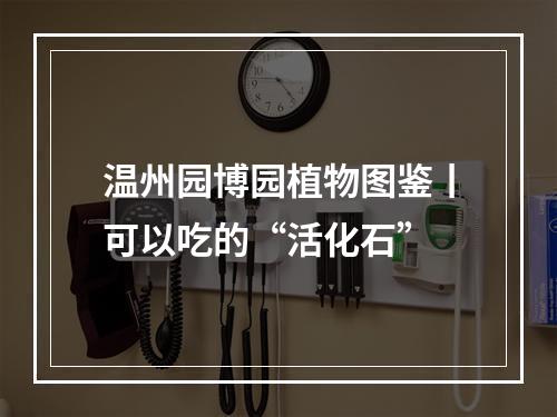 温州园博园植物图鉴丨可以吃的“活化石”