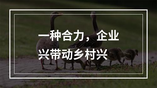 一种合力，企业兴带动乡村兴