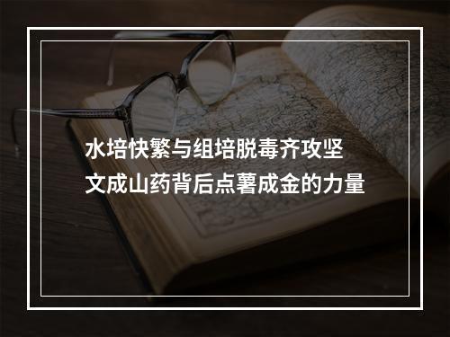 水培快繁与组培脱毒齐攻坚 文成山药背后点薯成金的力量