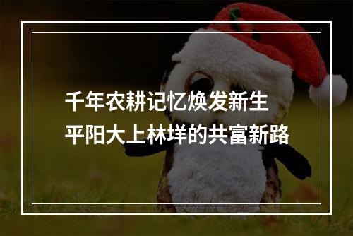 千年农耕记忆焕发新生 平阳大上林垟的共富新路