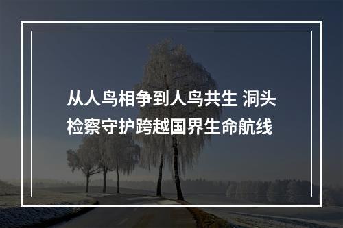 从人鸟相争到人鸟共生 洞头检察守护跨越国界生命航线
