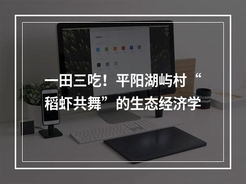 一田三吃！平阳湖屿村“稻虾共舞”的生态经济学