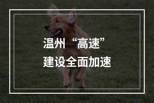 温州“高速”建设全面加速