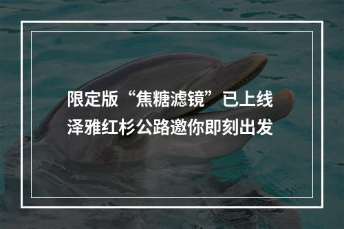 限定版“焦糖滤镜”已上线 泽雅红杉公路邀你即刻出发