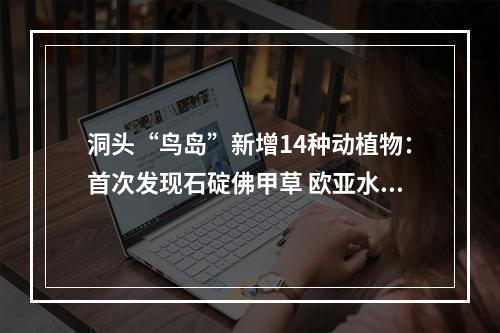 洞头“鸟岛”新增14种动植物：首次发现石碇佛甲草 欧亚水獭也来“打卡”