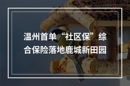 温州首单“社区保”综合保险落地鹿城新田园