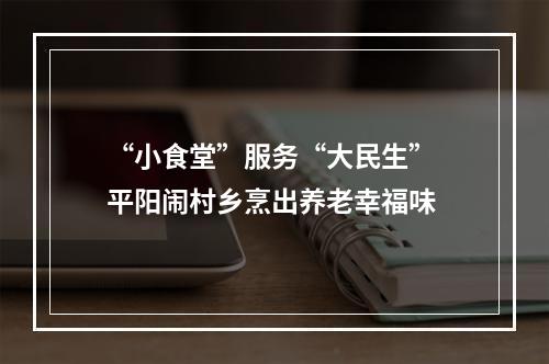 “小食堂”服务“大民生” 平阳闹村乡烹出养老幸福味
