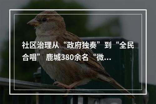 社区治理从“政府独奏”到“全民合唱” 鹿城380余名“微管家”绘就城市文明新图景