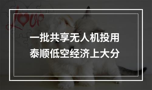 一批共享无人机投用 泰顺低空经济上大分
