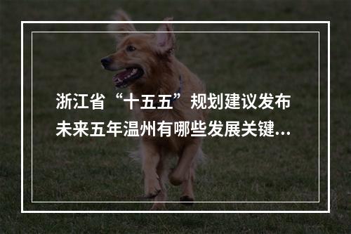 浙江省“十五五”规划建议发布 未来五年温州有哪些发展关键词？