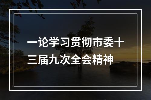一论学习贯彻市委十三届九次全会精神