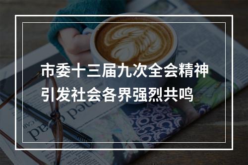 市委十三届九次全会精神引发社会各界强烈共鸣