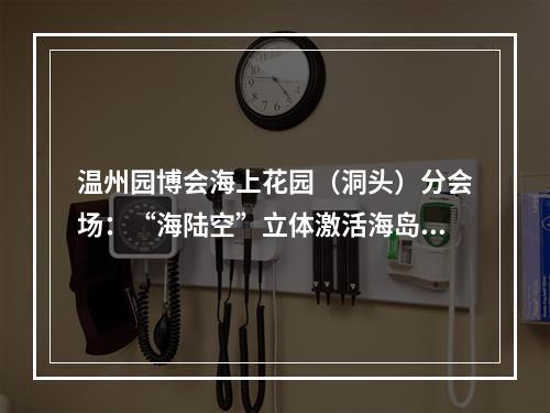 温州园博会海上花园（洞头）分会场：“海陆空”立体激活海岛魅力