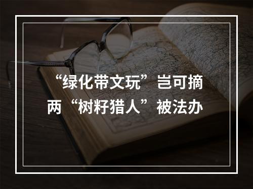 “绿化带文玩”岂可摘 两“树籽猎人”被法办